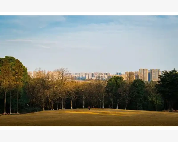 公司更换会计人员的操作流程与注意事项